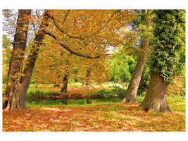 3-piece-canvas-print-in-the-middle-of-autumn-trees