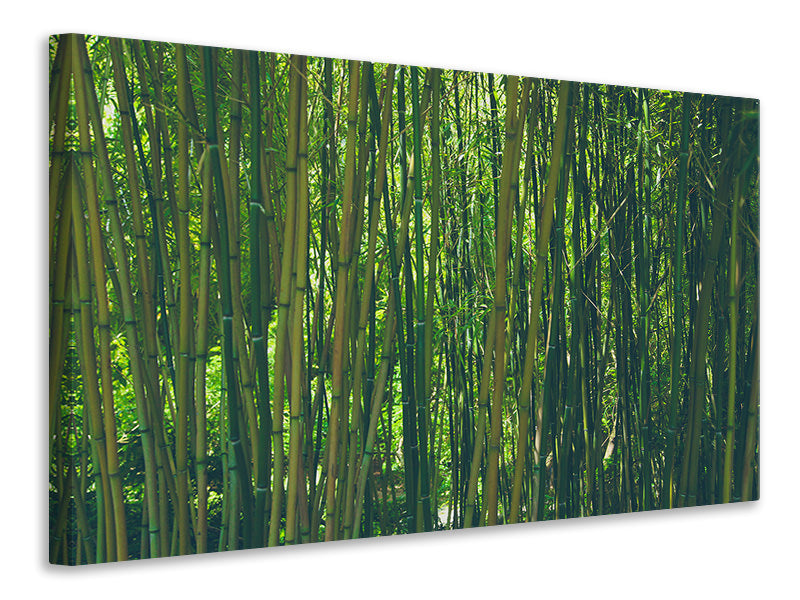 3-piece-canvas-print-in-the-middle-of-the-bamboo