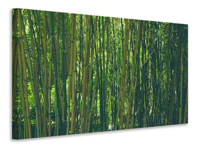 3-piece-canvas-print-in-the-middle-of-the-bamboo