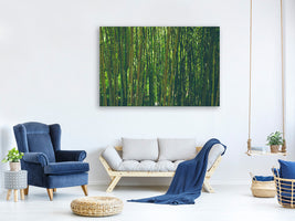 5-piece-canvas-print-in-the-middle-of-the-bamboo