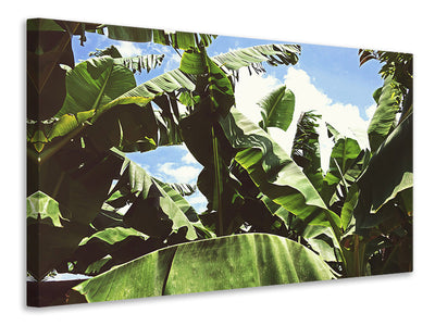 panoramic-3-piece-canvas-print-in-the-middle-of-the-jungle