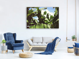 modern-3-piece-canvas-print-in-the-middle-of-the-jungle