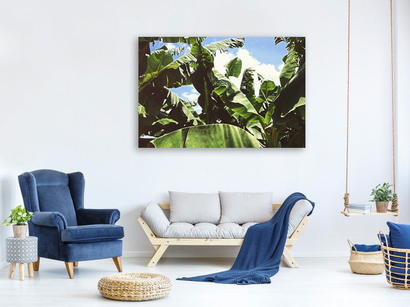modern-3-piece-canvas-print-in-the-middle-of-the-jungle