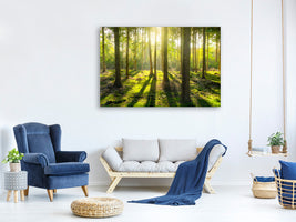 3-piece-canvas-print-in-the-middle-of-the-woods