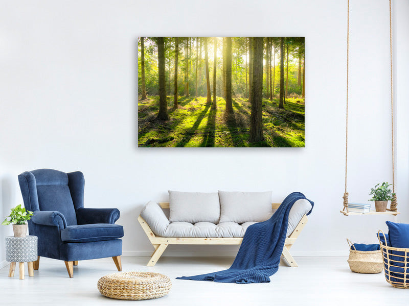 4-piece-canvas-print-in-the-middle-of-the-woods