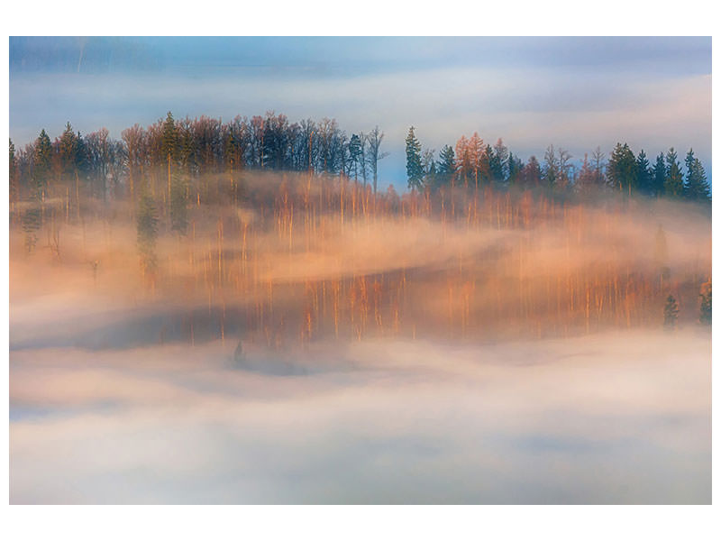 panoramic-canvas-print-in-the-morning-mists
