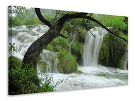 5-piece-canvas-print-in-the-national-park
