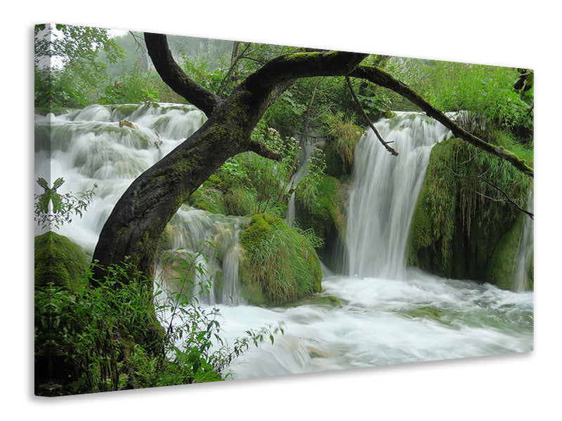 5-piece-canvas-print-in-the-national-park