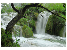 modern-3-piece-canvas-print-in-the-national-park