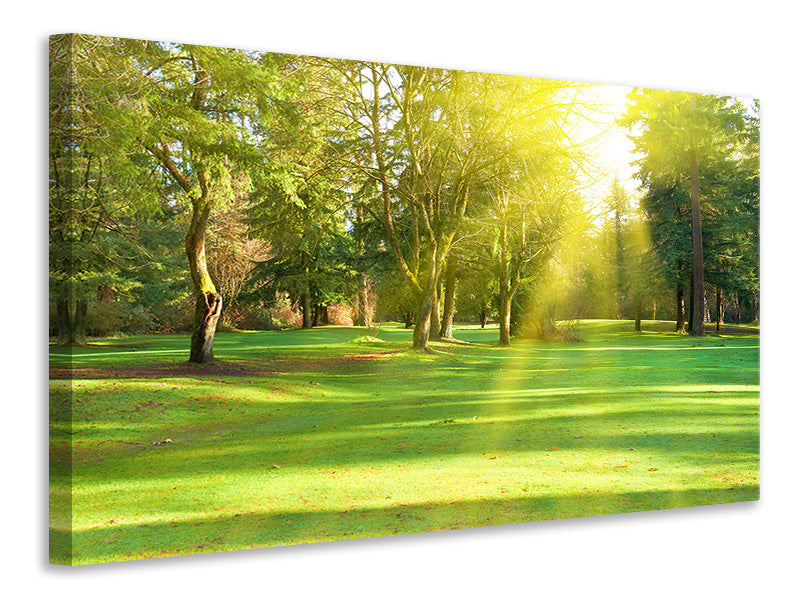 4-piece-canvas-print-in-the-park