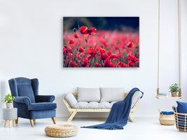 5-piece-canvas-print-in-the-poppy-field