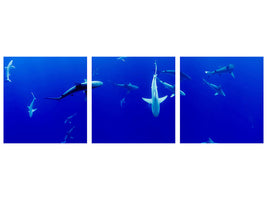 panoramic-canvas-print-in-the-shark-tank