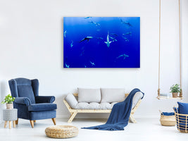 panoramic-canvas-print-in-the-shark-tank
