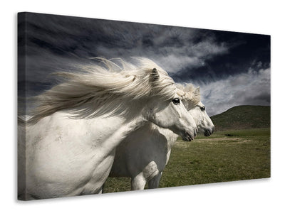 panoramic-3-piece-canvas-print-interplay