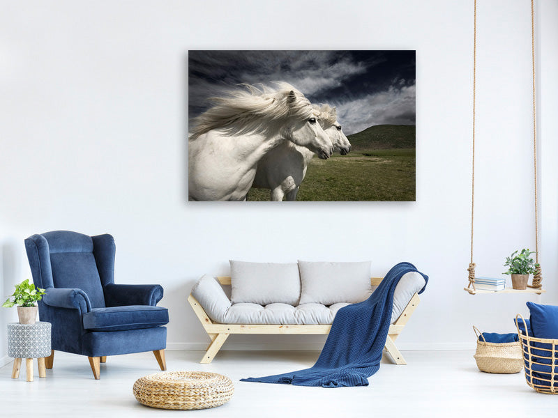 modern-4-piece-canvas-print-interplay