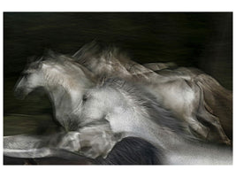 3-piece-canvas-print-into-the-dark