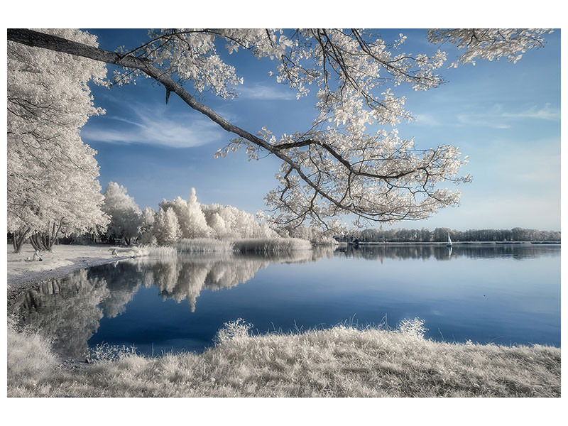 modern-4-piece-canvas-print-irenkowo