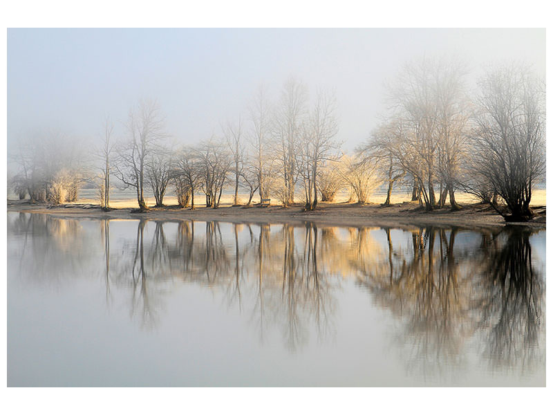 modern-3-piece-canvas-print-january-morning