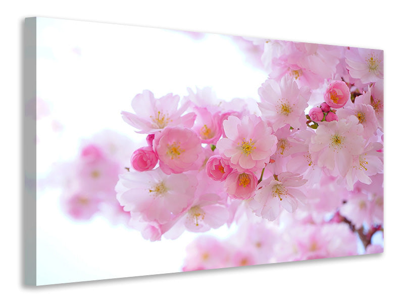 3-piece-canvas-print-japanese-cherry-blossom-xl