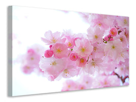 panoramic-canvas-print-japanese-cherry-blossom-xl