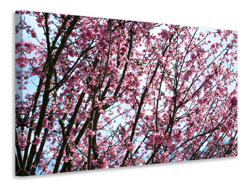 modern-4-piece-canvas-print-japanese-cherry-blossom