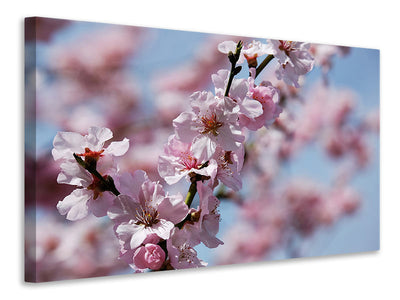 3-piece-canvas-print-japanese-cherry-tree-close-up