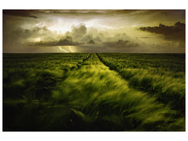 panoramic-3-piece-canvas-print-journey-to-the-fierce-storm