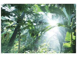 5-piece-canvas-print-jungle-star