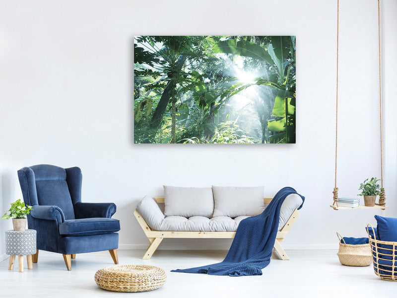 4-piece-canvas-print-jungle-star