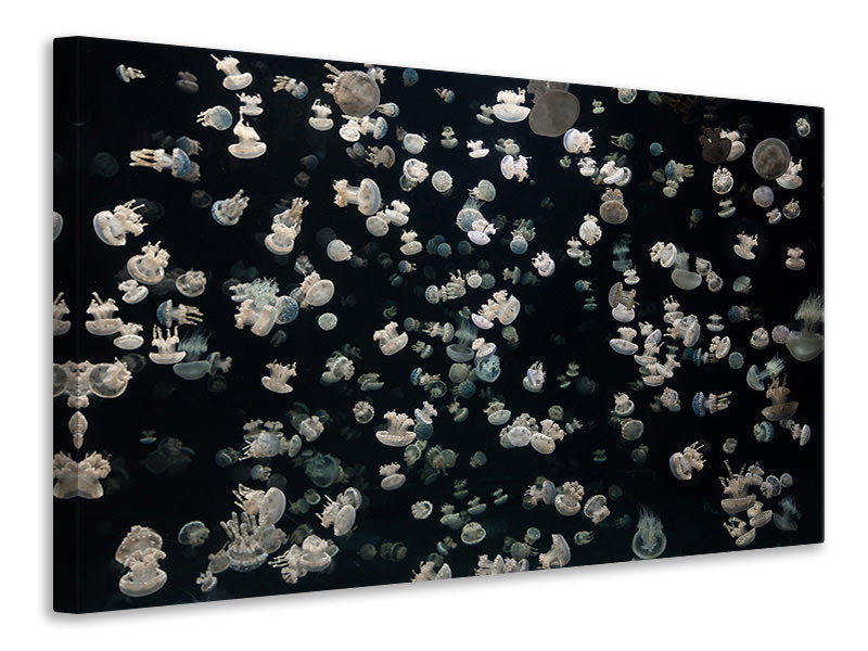 panoramic-3-piece-canvas-print-just-some-jellies