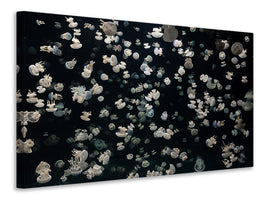 panoramic-canvas-print-just-some-jellies
