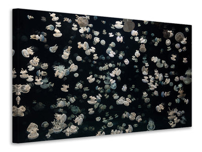 modern-4-piece-canvas-print-just-some-jellies