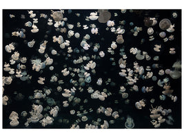 panoramic-3-piece-canvas-print-just-some-jellies