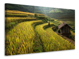 modern-3-piece-canvas-print-keep-walking