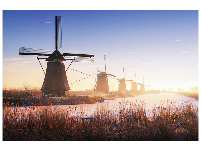 5-piece-canvas-print-kinderdijk-iv
