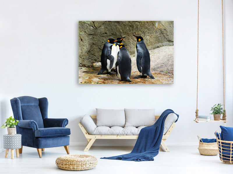 3-piece-canvas-print-king-penguins