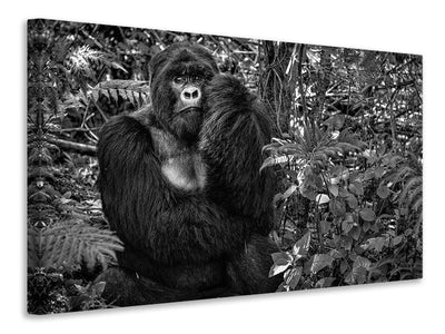 3-piece-canvas-print-kwitonda-silverback