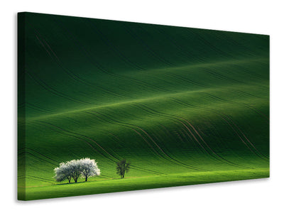 panoramic-canvas-print-ladies-in-white