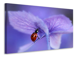 modern-4-piece-canvas-print-ladybird-on-purple-hydrangea