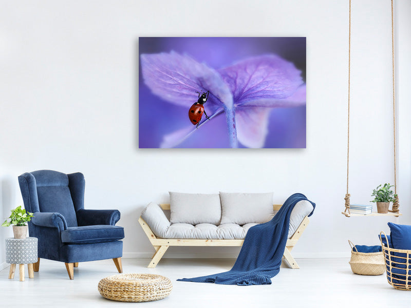 5-piece-canvas-print-ladybird-on-purple-hydrangea