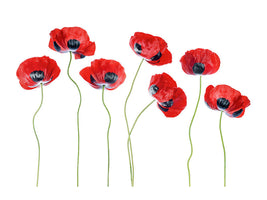 4-piece-canvas-print-ladybird-poppies