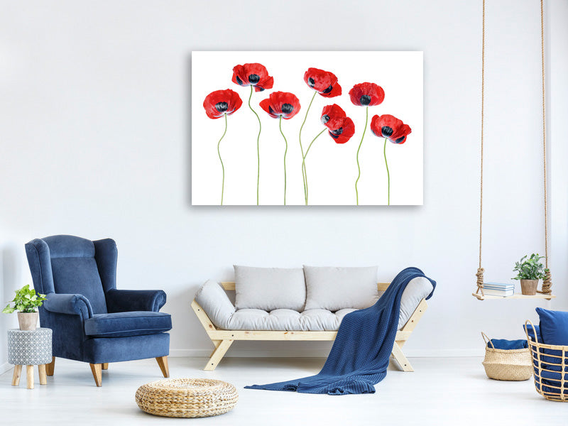 modern-3-piece-canvas-print-ladybird-poppies