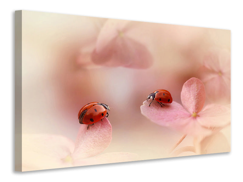 modern-3-piece-canvas-print-ladybirds-on-pink-hydrangea