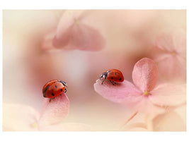 modern-3-piece-canvas-print-ladybirds-on-pink-hydrangea