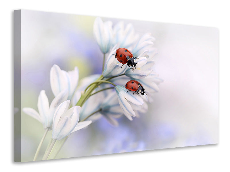 5-piece-canvas-print-ladybirds