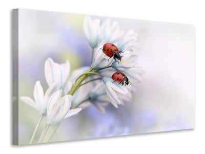 3-piece-canvas-print-ladybirds