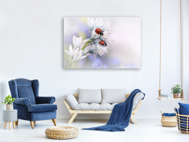 modern-3-piece-canvas-print-ladybirds
