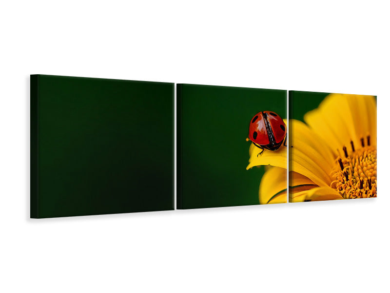 canvas-print-ladybug-on-the-sunflower