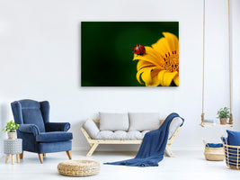 3-piece-canvas-print-ladybug-on-the-sunflower
