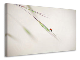 5-piece-canvas-print-ladybug